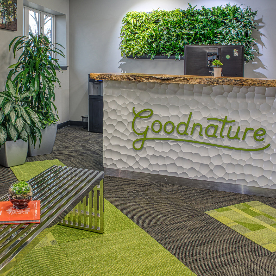 Enliven your front office with easy to install green plants wall art.