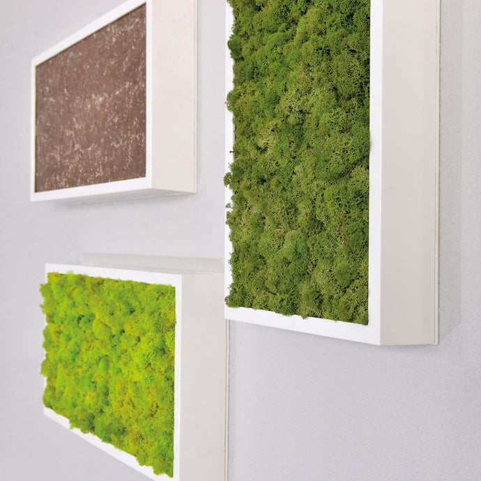 Combine moss wall panels with stone or bark panels to create your own dramatic statement with nature.