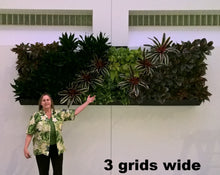 This is an installation of 3 grids  using our Green Wall Vertical Planter Kit for 8" Grow Pots.