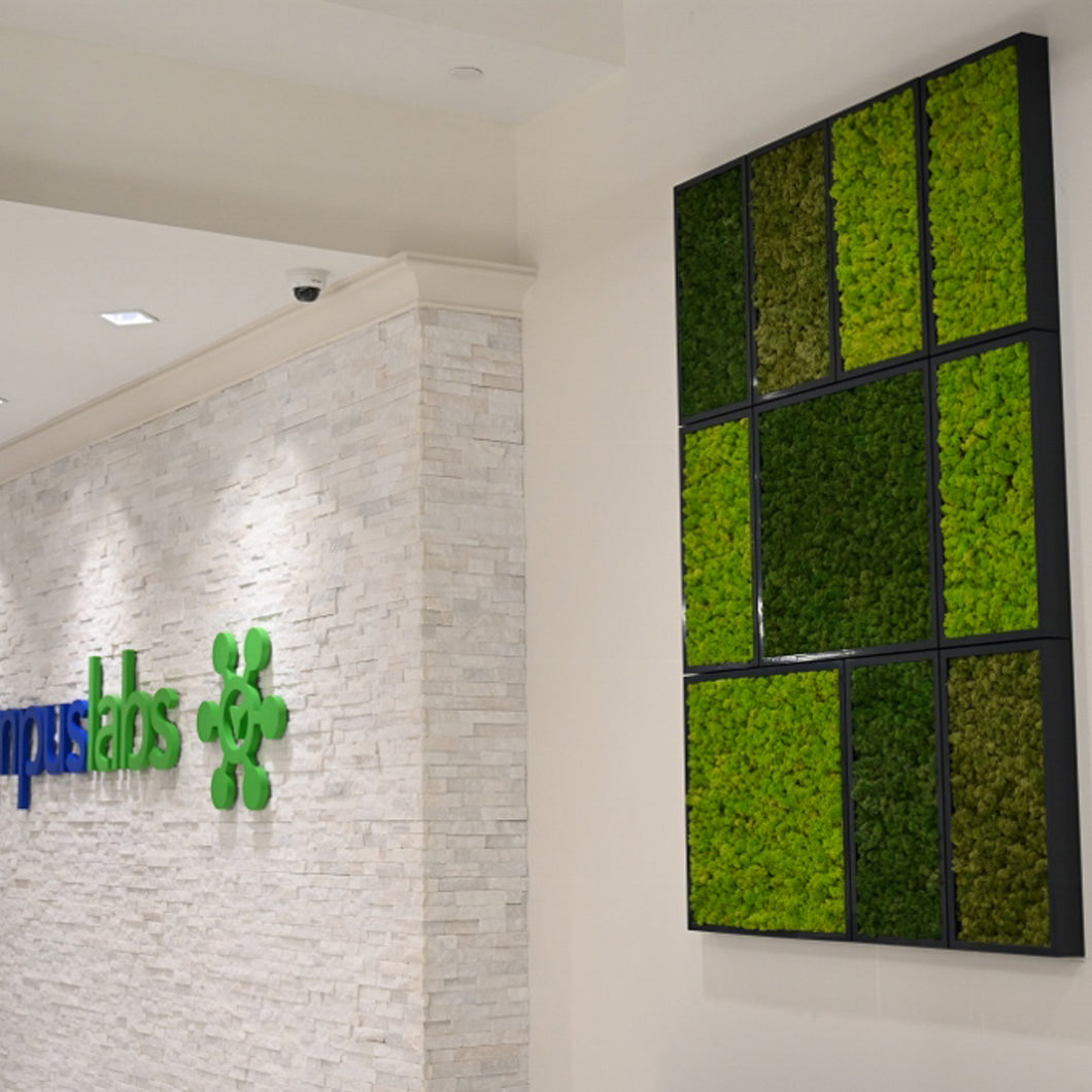 Lime Green Reindeer Moss, Medium Green Reindeer Moss, Forest Green Reindeer Moss in a living green wall system create a dramatic, artistic statement.