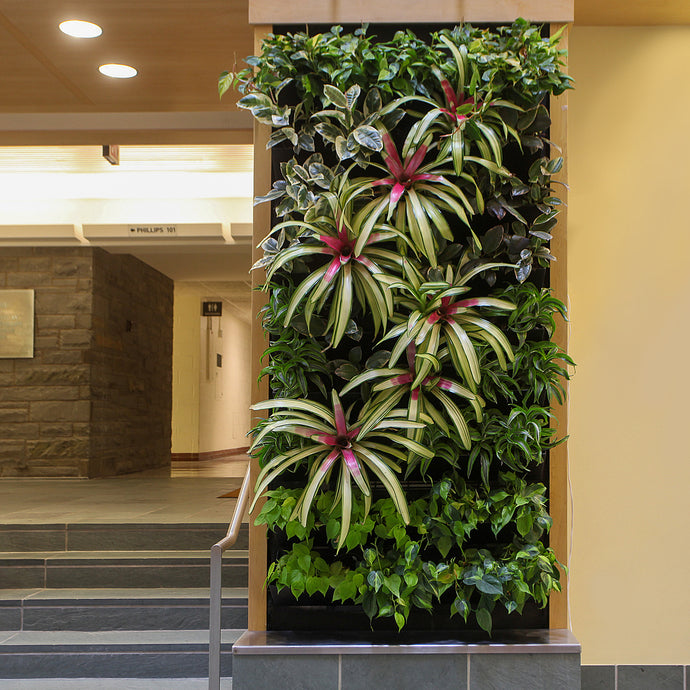 Plantups Green Wall Vertical Garden at Cornell University