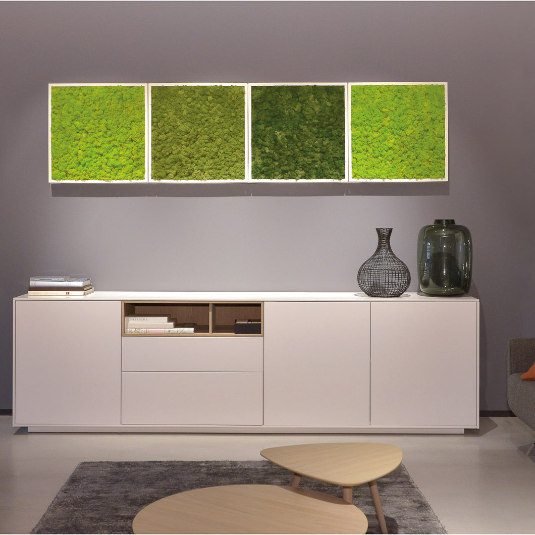 Use preserved moss wall art to create a one-of-a-kind wall by combining preserved moss for your green design