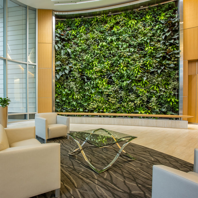 Plantups Green Wall Vertical Garden at Delaware North Headquarters