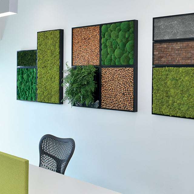 Moss walls can be combined with living plants in our modular green wall system.