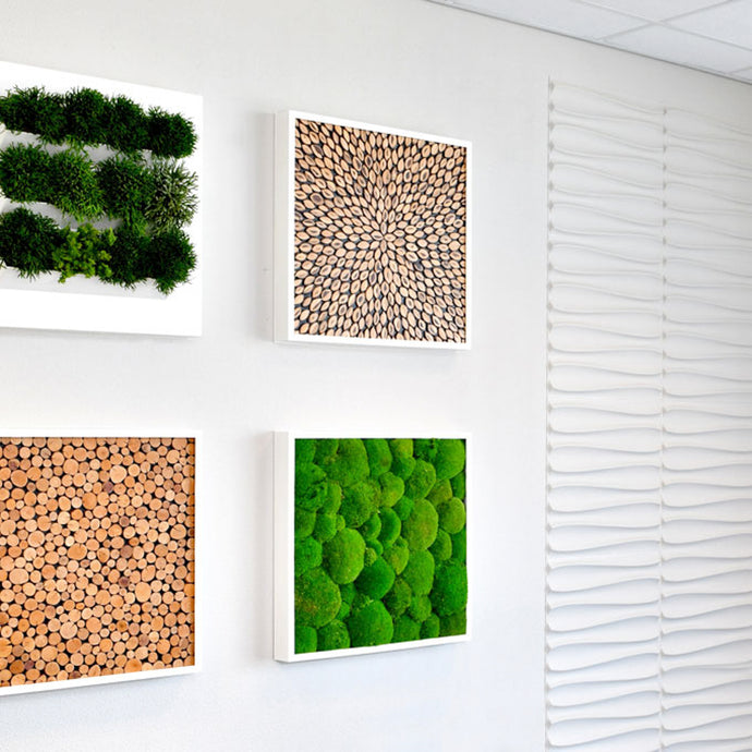 Bring the benefits of nature indoors with our sustainably harvested moss and bark inserts for your green wall art.