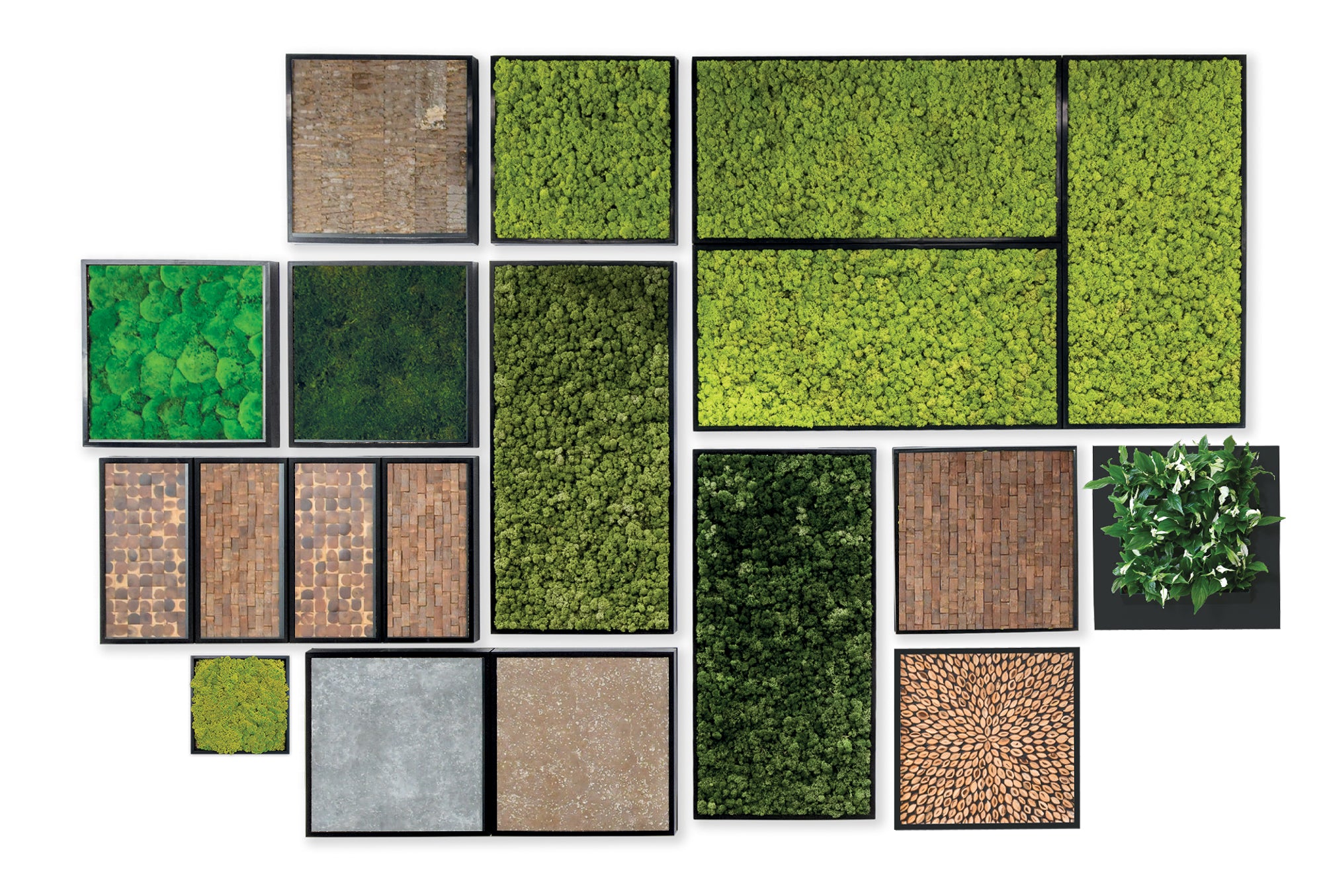 Bring the benefits of nature indoors with our sustainably harvested moss and bark inserts for green wall art that fits any space..