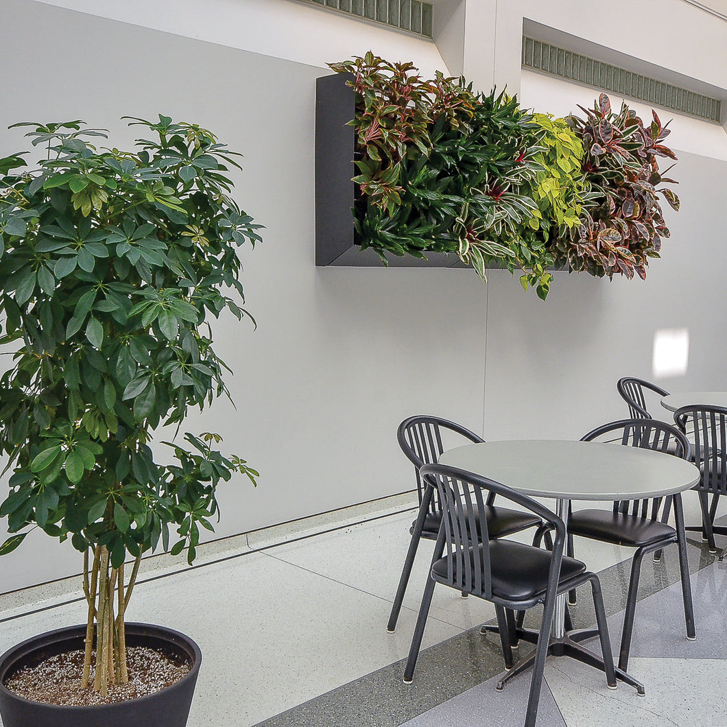 Boost creativity and reduce stress with indoor vertical plants walls. A living wall adds the benefits of plants without taking up floor space.
