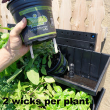 Our sipper wicks allow the living green walls operate without plumbing or drainage.
