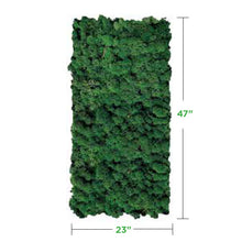 forest-green Moss Wall Art Panel (No Frame)