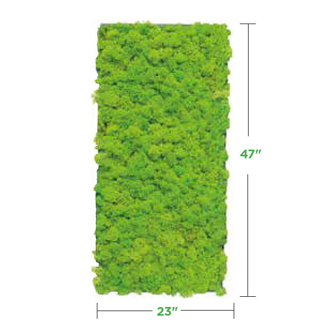 lime-green Moss Wall Art Panel (No Frame)