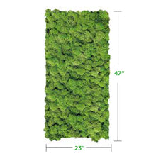 medium-green Moss Wall Art Panel (No Frame)